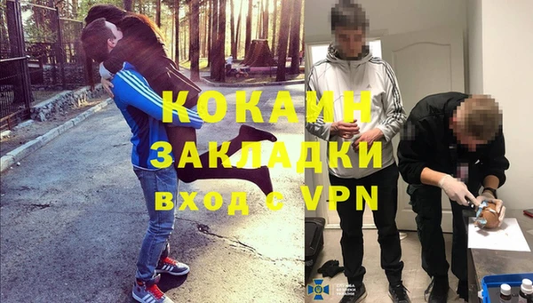 сатива Армянск