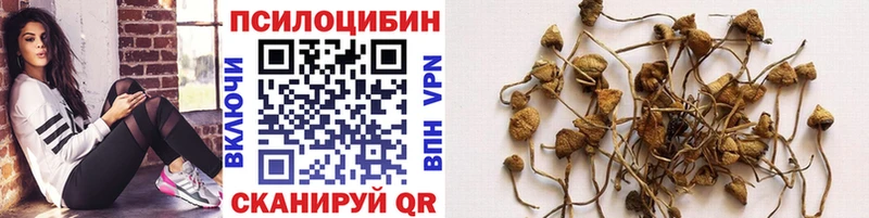 Галлюциногенные грибы прущие грибы  Фатеж 